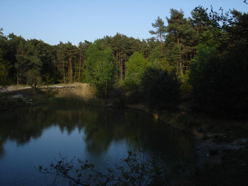 Sand pit with nice forest